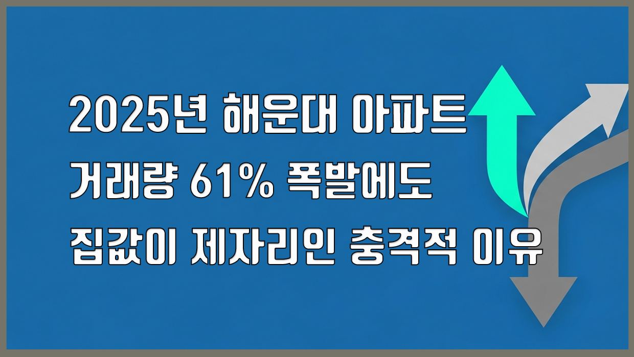 2025년 해운대 아파트 컨텐츠 대표 이미지