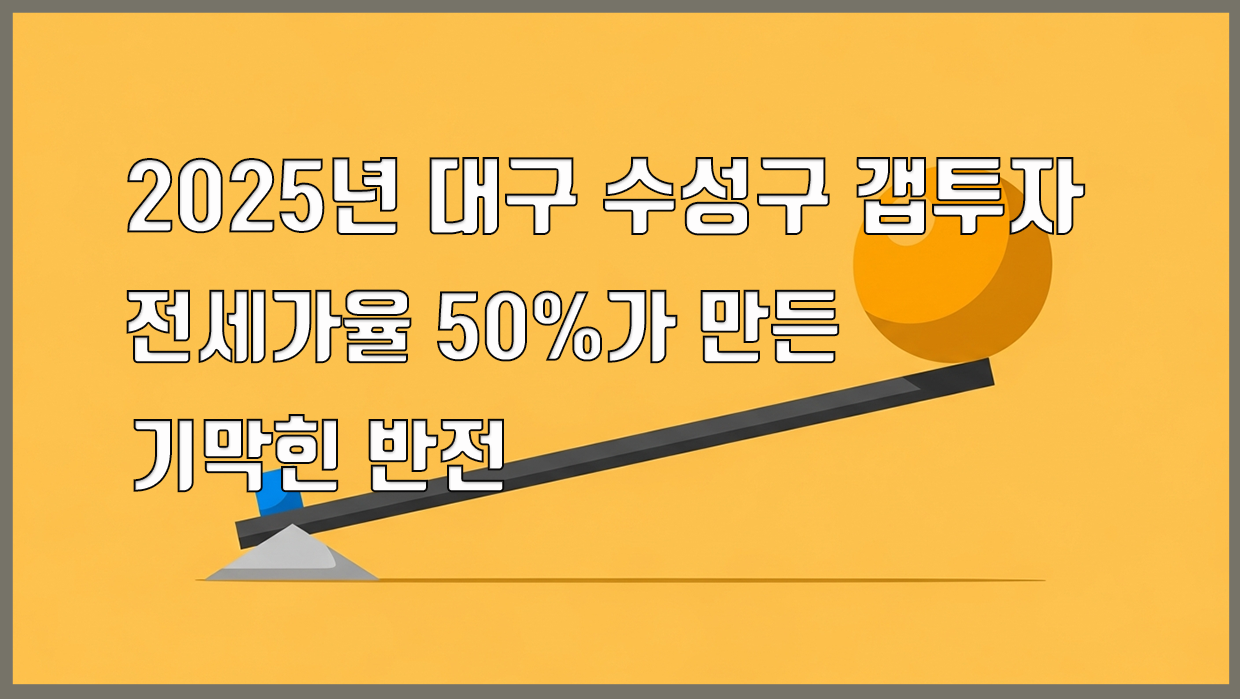 대구 수성구 분석 콘텐츠 대표이미지