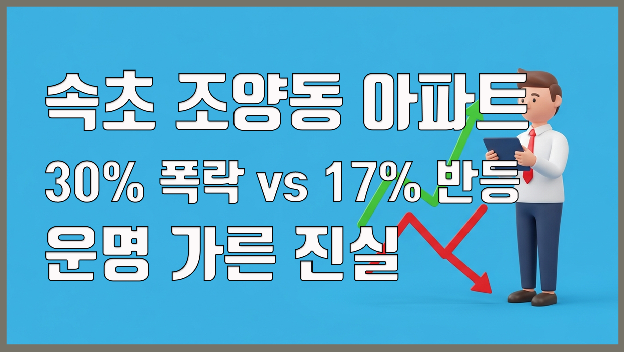 조양동 아파트 분석 대표 이미지