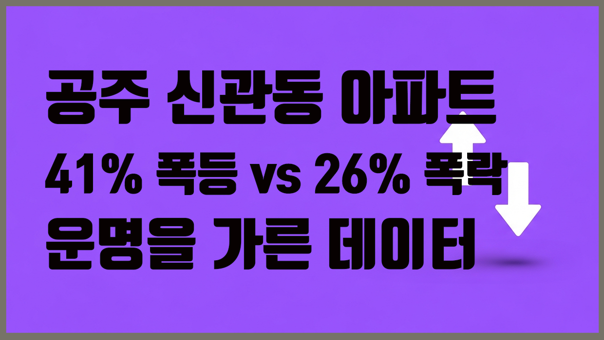 신관동 아파트 분석 대표 이미지