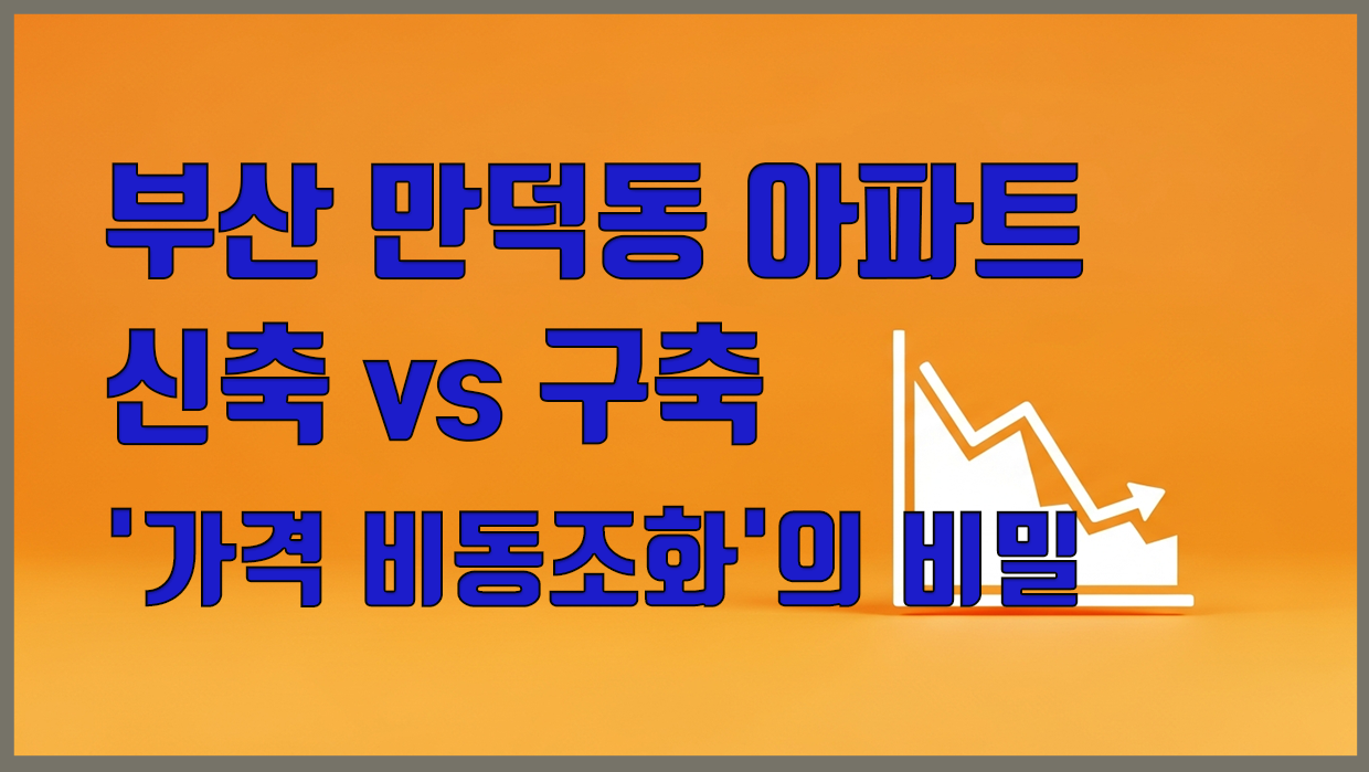 만덕동 아파트 분석 대표 이미지