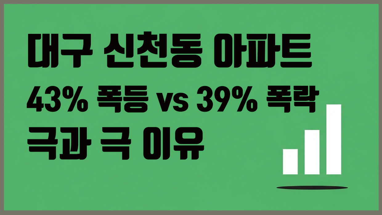 신천동 아파트 분석 대표 이미지