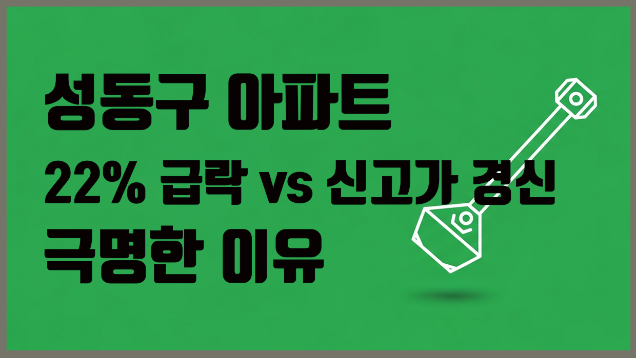 성동구 아파트 분석 대표 이미지