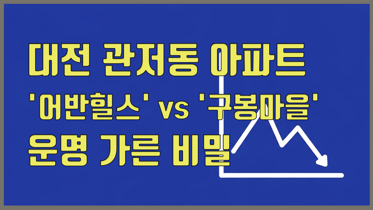 관저동 아파트 분석 대표 이미지