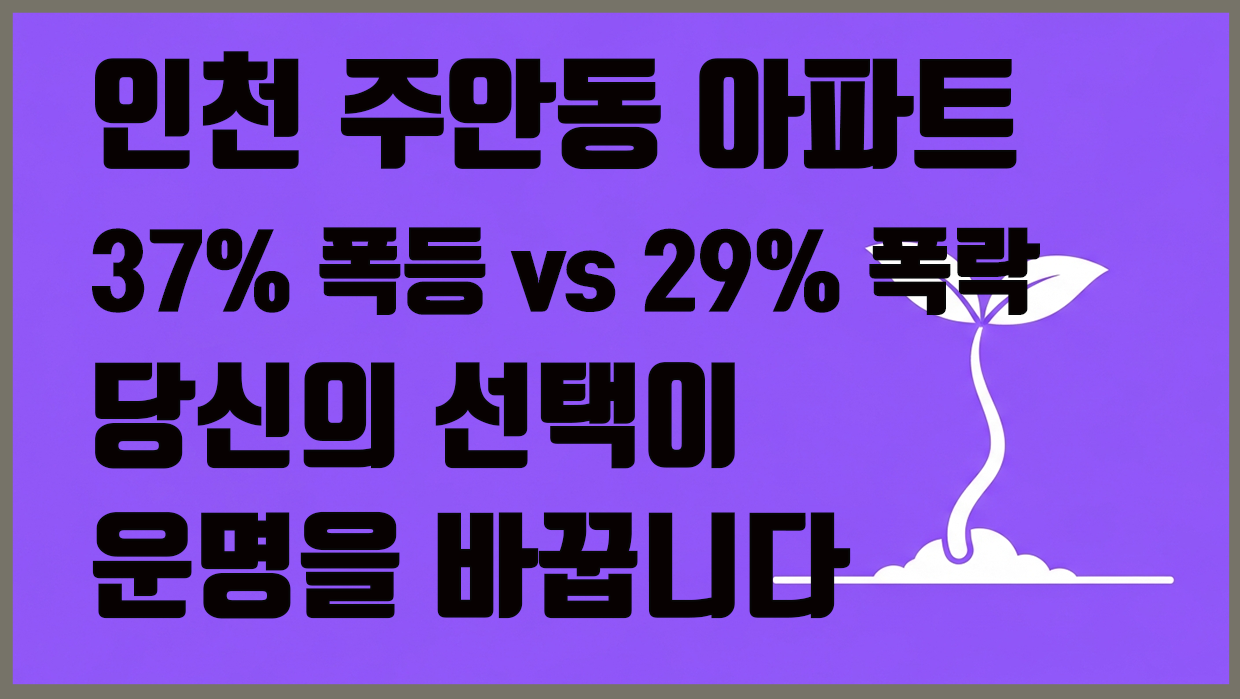 주안동 아파트 분석 대표 이미지