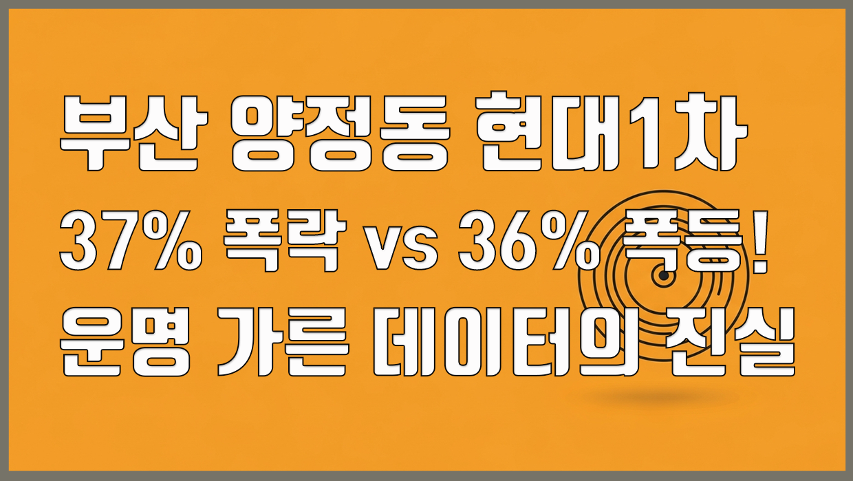 양정동 아파트 분석 대표 이미지