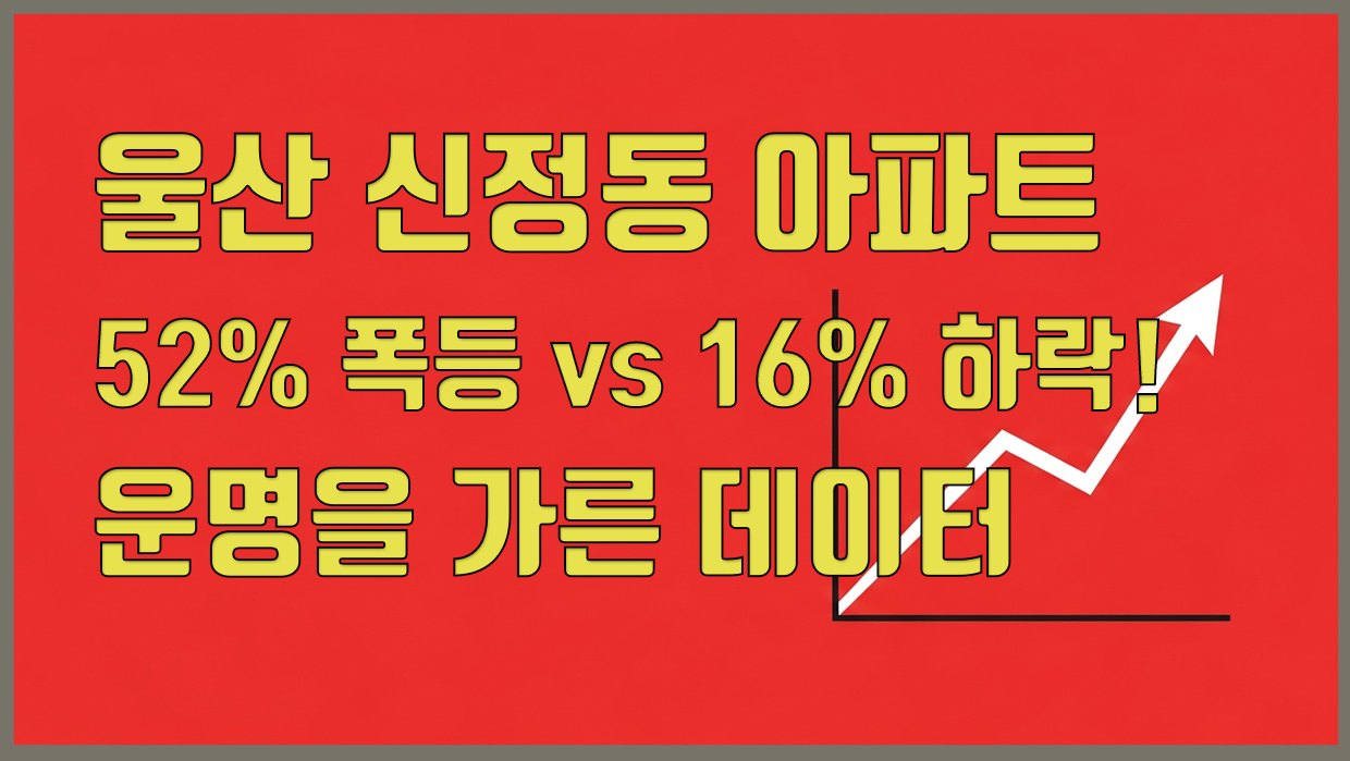 신정동 아파트 분석 대표 이미지