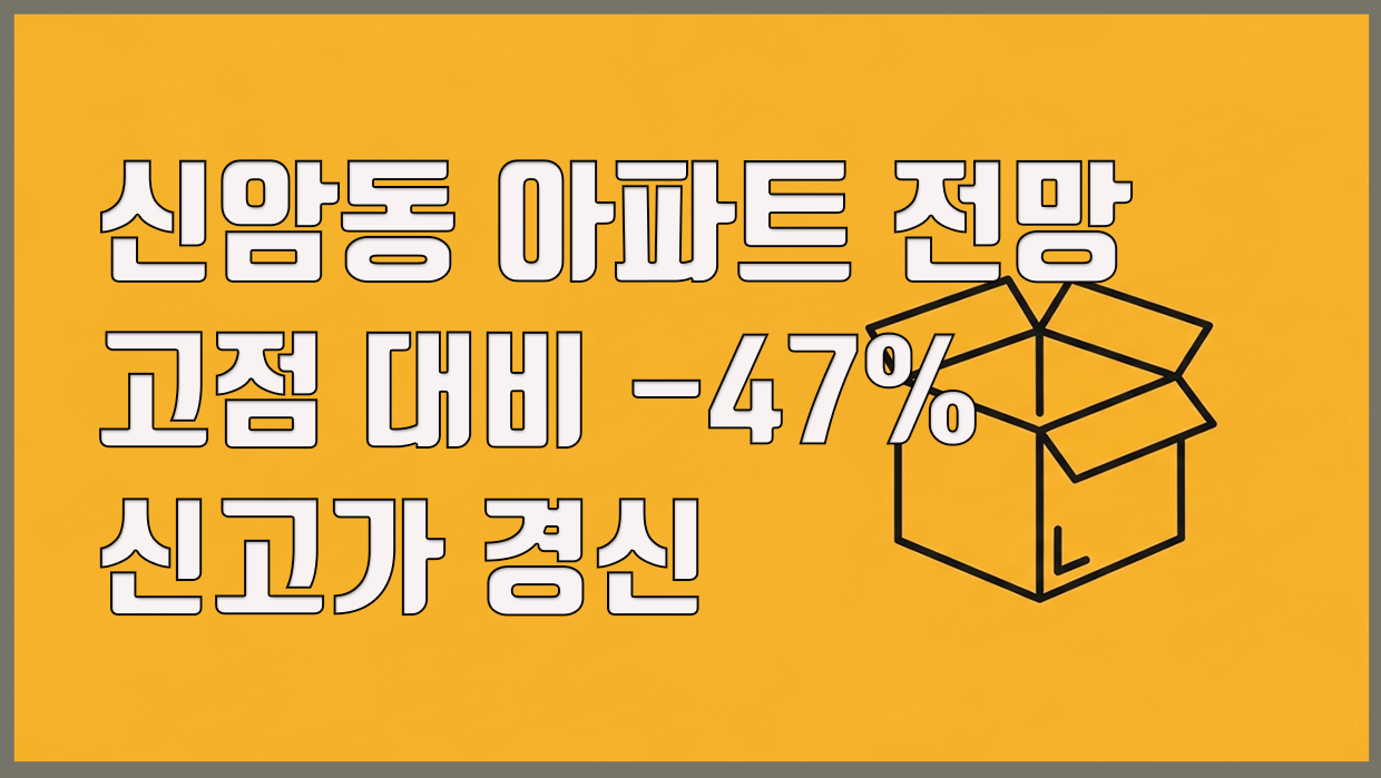 신암동 아파트 분석 대표 이미지