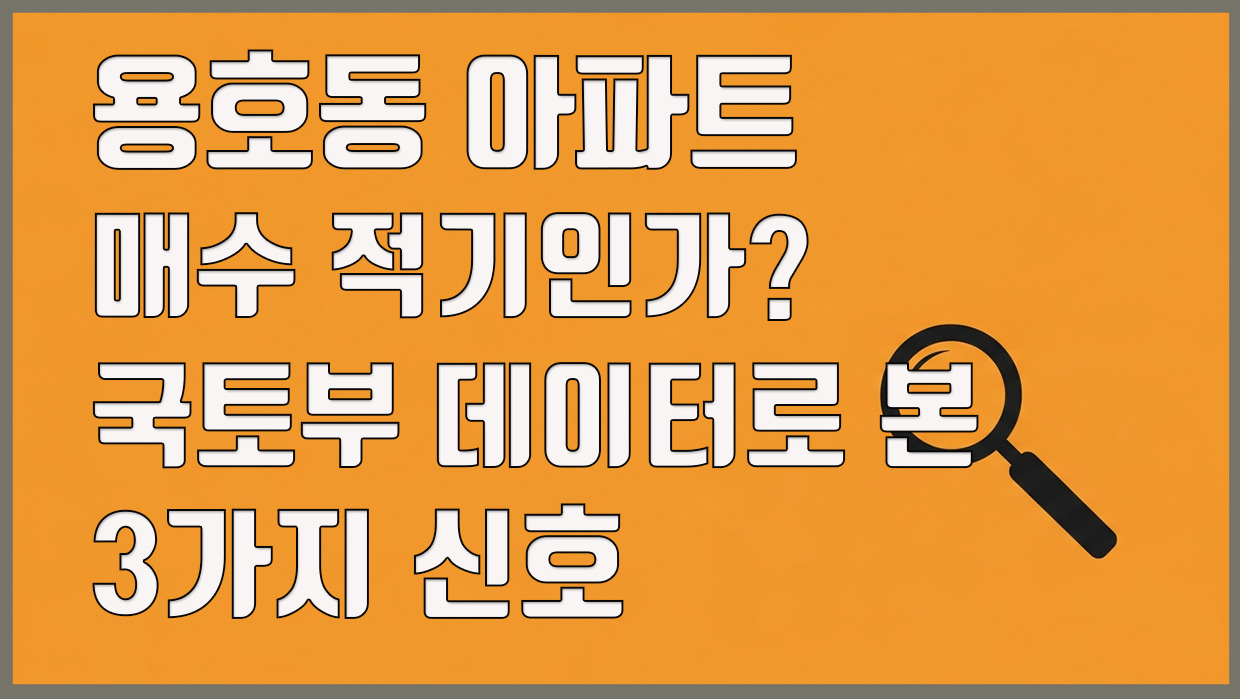 용호동 아파트 분석 대표 이미지