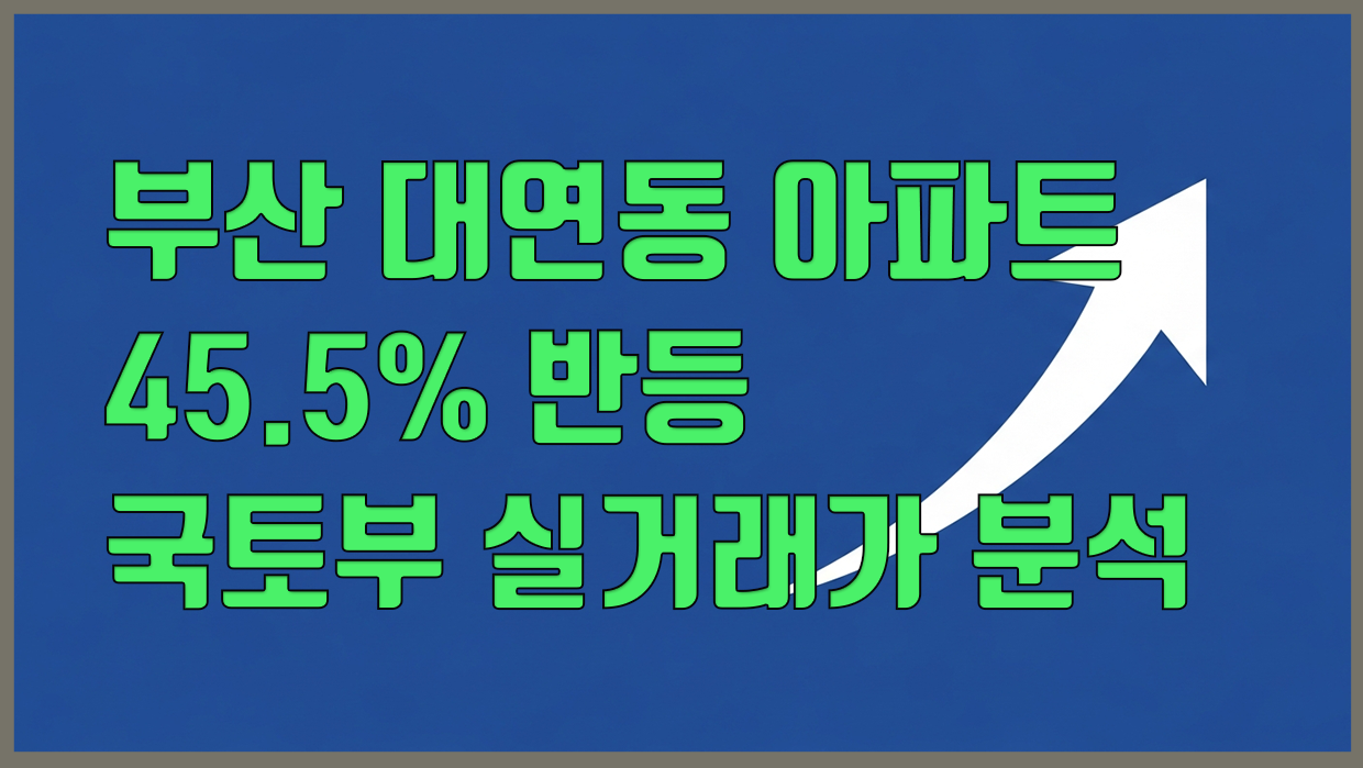 대연동 아파트 분석 대표 이미지