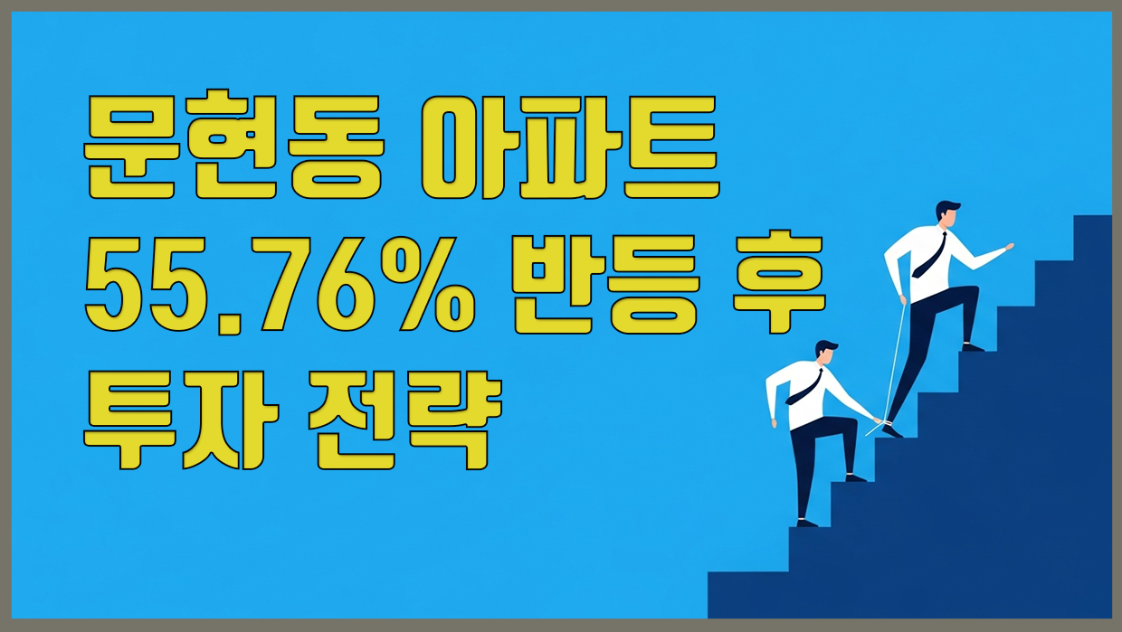 문현동 아파트 분석 대표 이미지