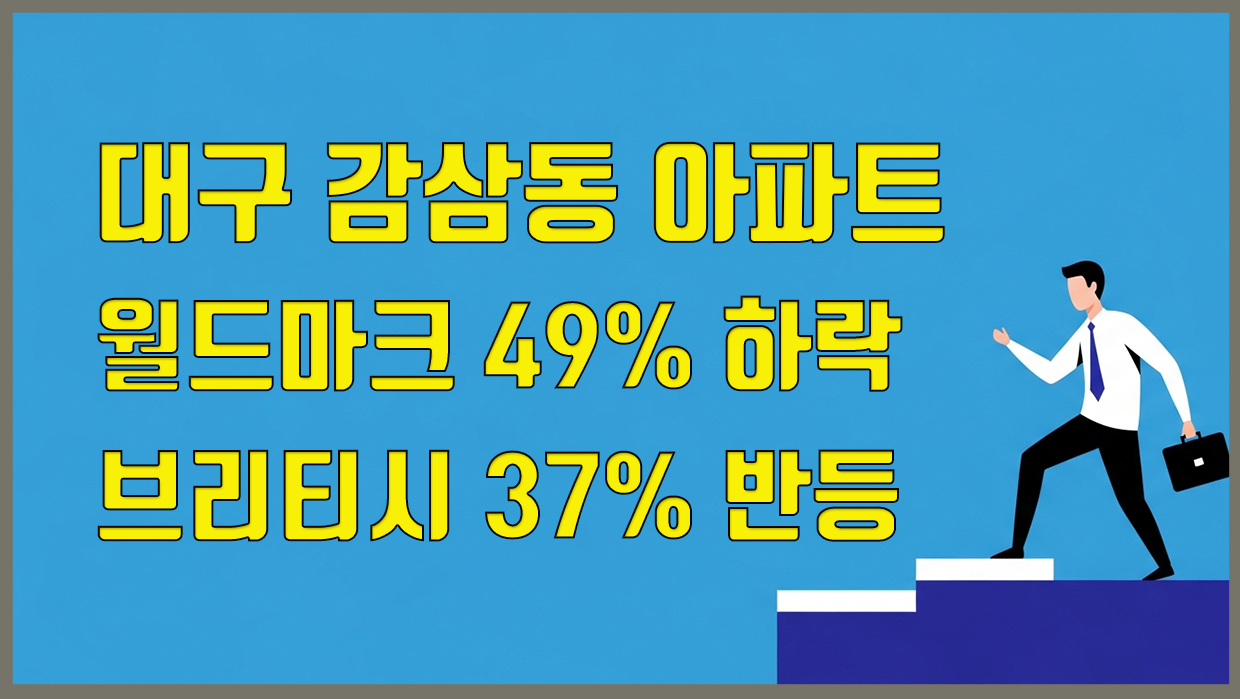 감삼동 아파트 분석 대표 이미지
