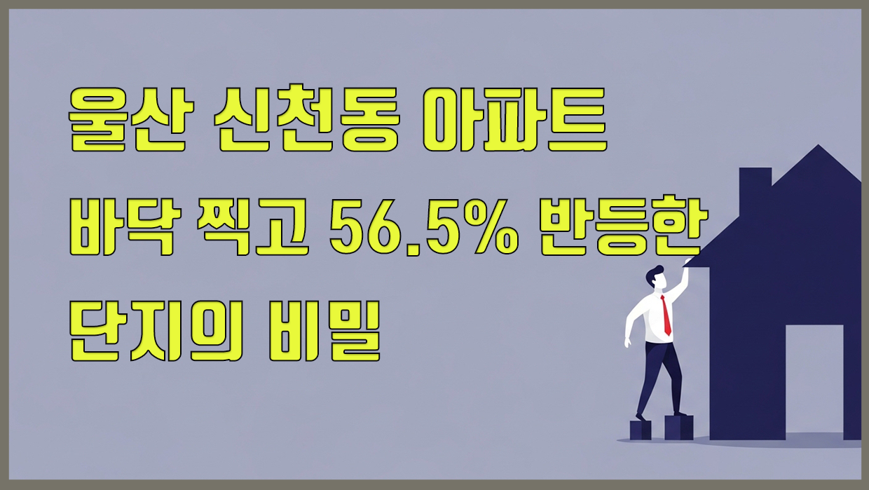 울산 신천동 아파트, 바닥 찍고 56.5% 반등한 단지의 비밀